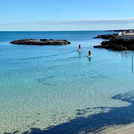 Dany's House 莫诺波利