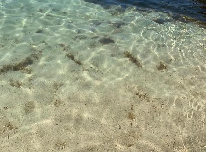 Dany's House * Monopoli